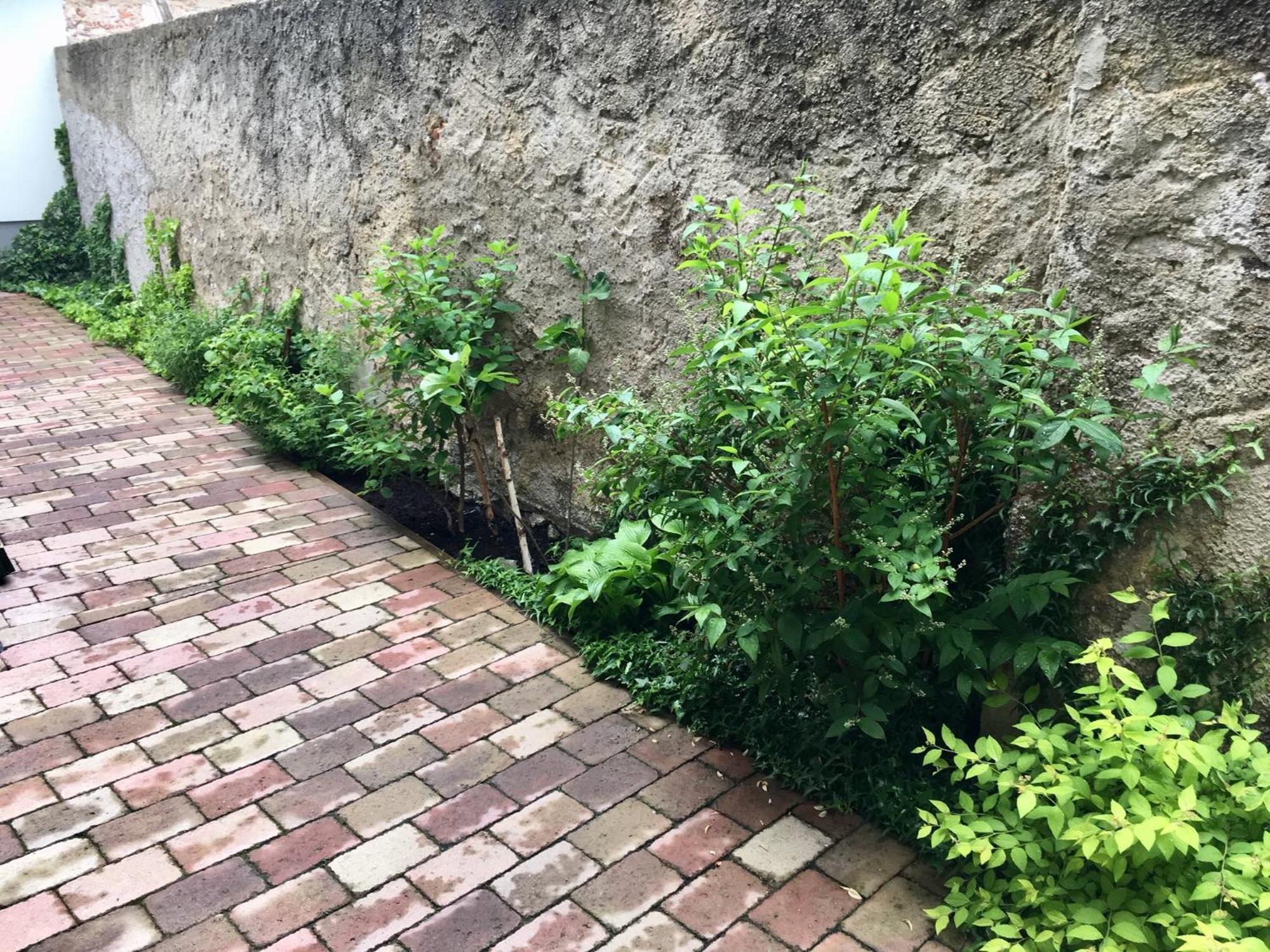 Apartmany U Vavrince Sušice Exterior foto